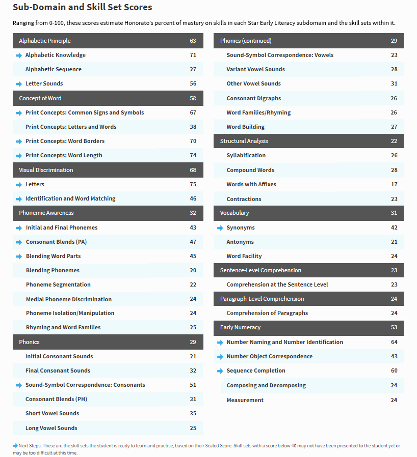 The alternative layout for the report is shown, with test results and domain scores laid out in tables instead of panels.